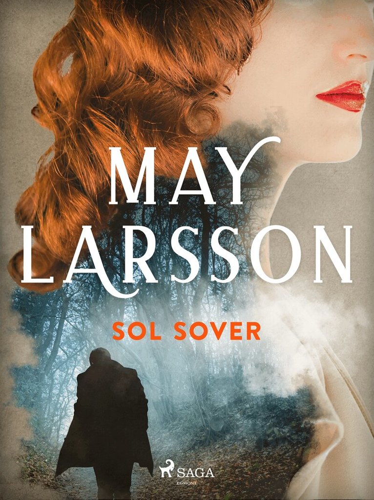May Larsson - Sol sover, E-bok