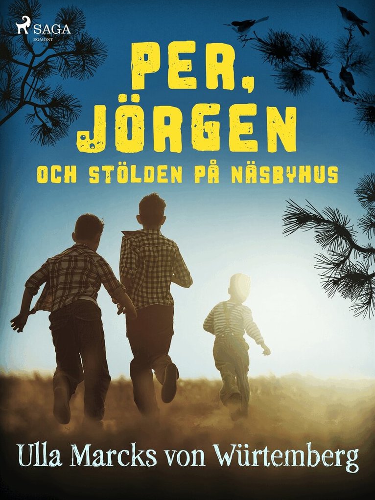 Ulla Marcks von Würtemberg - Per, Jörgen och stölden på Näsbyhus, E-bok