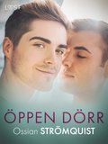 ppen drr - erotisk novell