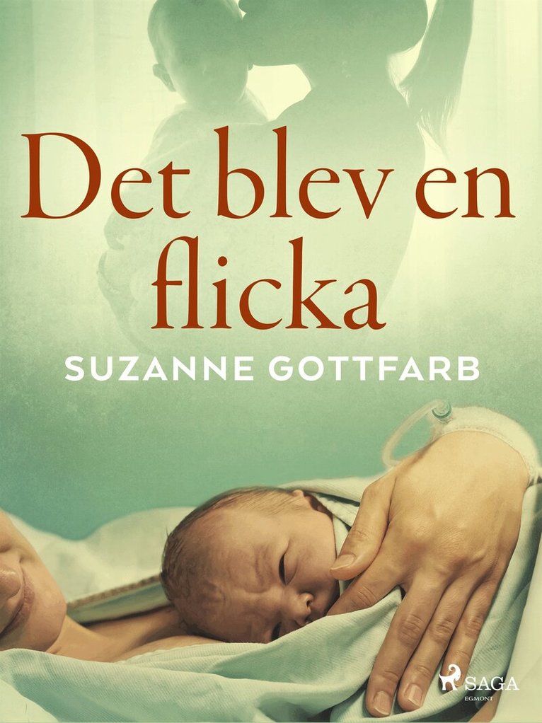 Suzanne Gottfarb - Det blev en flicka, E-bok