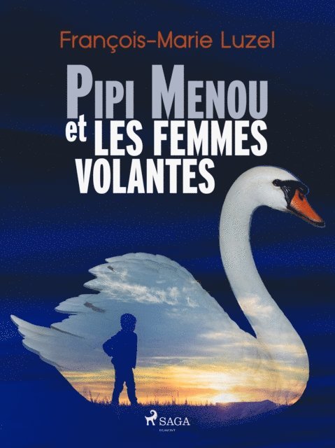 Francois-Marie Luzel - Pipi Menou et les Femmes volantes, E-bok