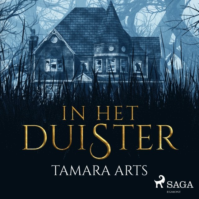 Arts - In het duister, Ljudbok
