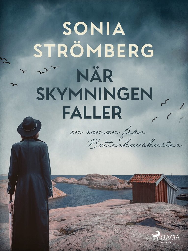Sonia Strömberg - När skymningen faller, E-bok