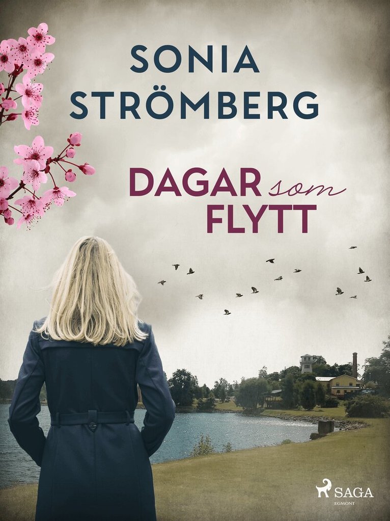 Sonia Strömberg - Dagar som flytt, E-bok