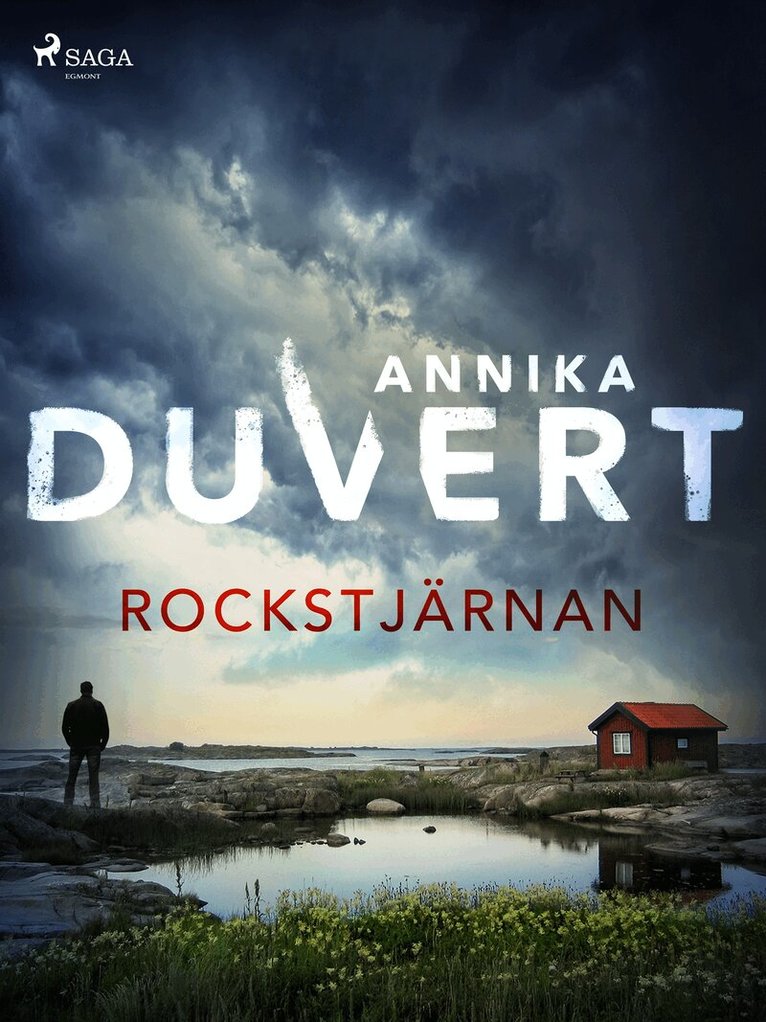 Annika Duvert - Rockstjärnan, E-bok