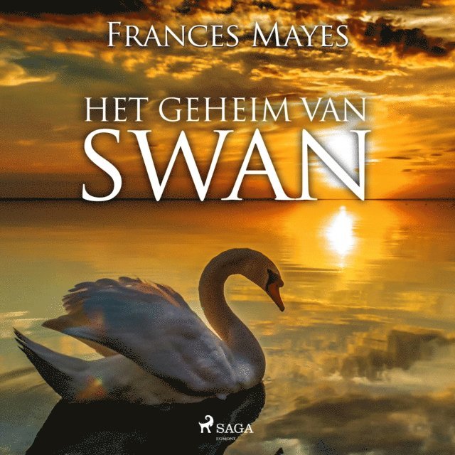 Mayes - Het geheim van Swan, Ljudbok