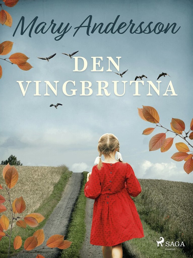 Mary Andersson - Den vingbrutna, E-bok