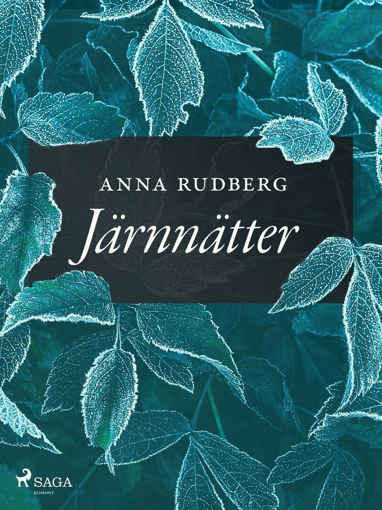 Anna Rudberg - Järnnätter, E-bok