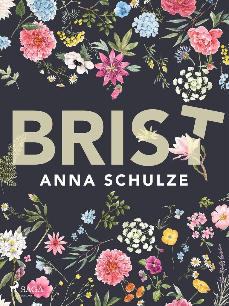 Anna Schulze - Brist, E-bok