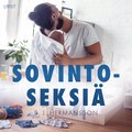 Sovintoseksi ? eroottinen novelli