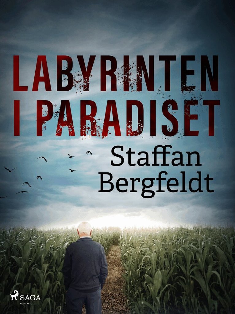 Staffan Bergfeldt - Labyrinten i paradiset, E-bok
