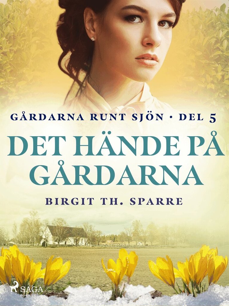 Birgit Th. Sparre - Det hände på gårdarna, E-bok