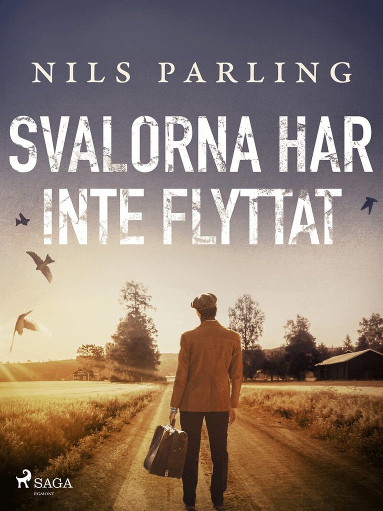 Nils Parling - Svalorna har inte flyttat, E-bok