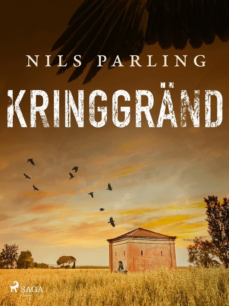 Nils Parling - Kringgränd, E-bok
