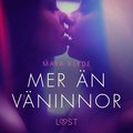 Mer n vninnor - erotisk novell