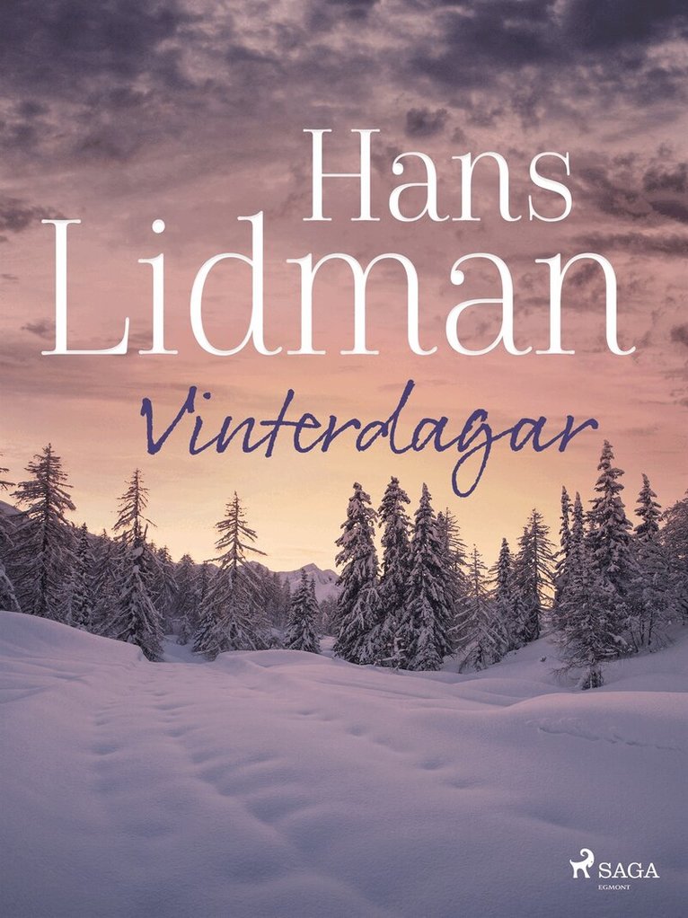 Hans Lidman - Vinterdagar, E-bok