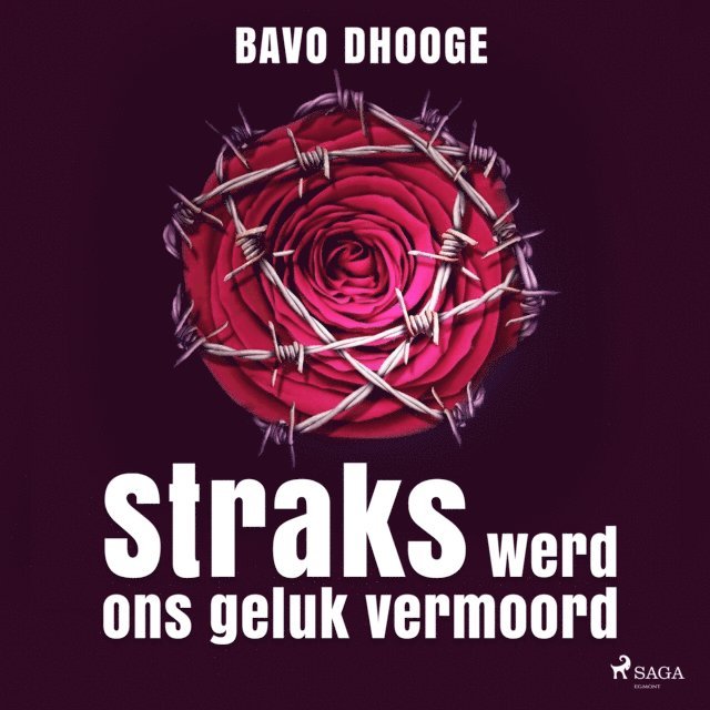 Dhooge - Straks werd ons geluk vermoord, Ljudbok