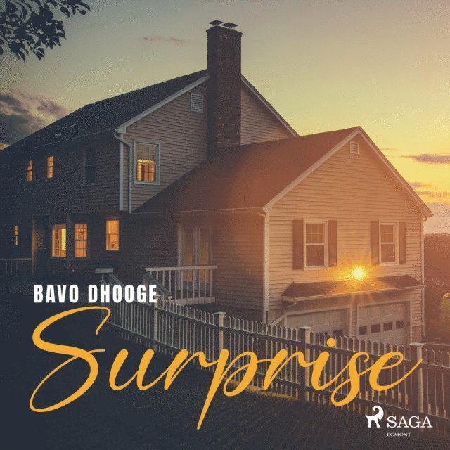 Dhooge - Surprise, Ljudbok