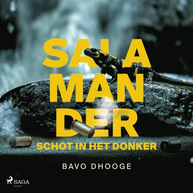 Dhooge - Salamander: Schot in het donker, Ljudbok