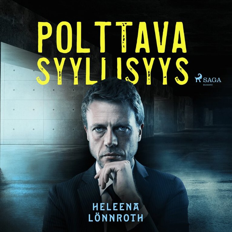 Heleena Lönnroth - Polttava syyllisyys, Ljudbok