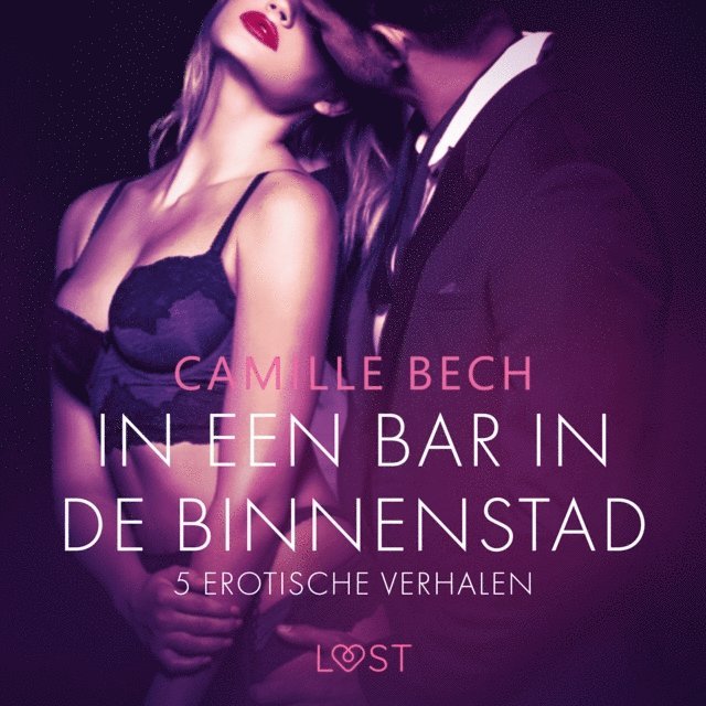 Bech - In een bar in de binnenstad – 5 erotische verhalen, Ljudbok