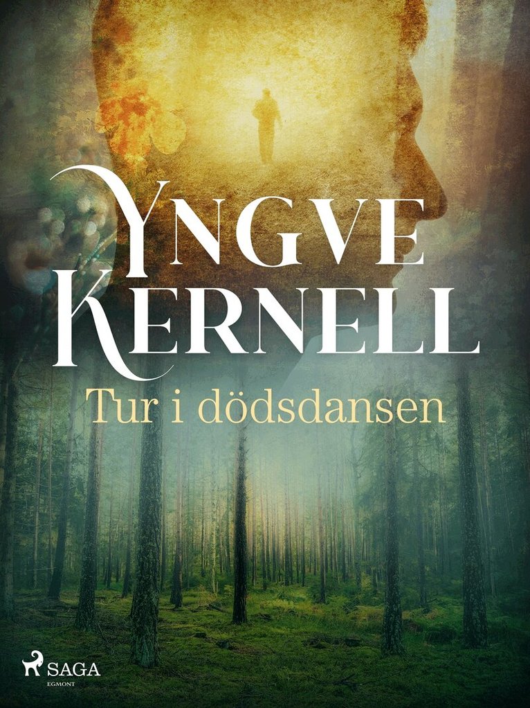 Yngve Kernell - Tur i dödsdansen, E-bok