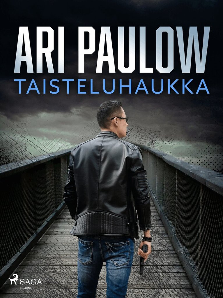 Ari Paulow - Taisteluhaukka, E-bok