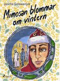 Mimosan blommar om vintern