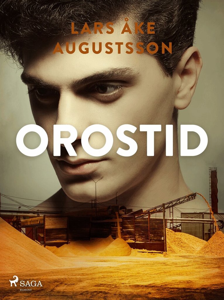Lars Åke Augustsson - Orostid, E-bok