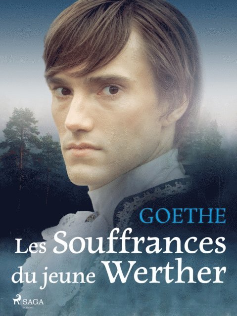 Johann Wolfgang von Goethe - Les Souffrances du jeune Werther, E-bok