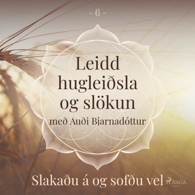 Arnsberg - Leidd hugleiðsla og slökun - Slakaðu á og sofðu vel, Ljudbok