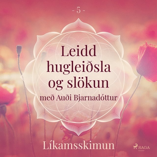 Arnsberg - Leidd hugleiðsla og slökun - Líkamsskimun, Ljudbok