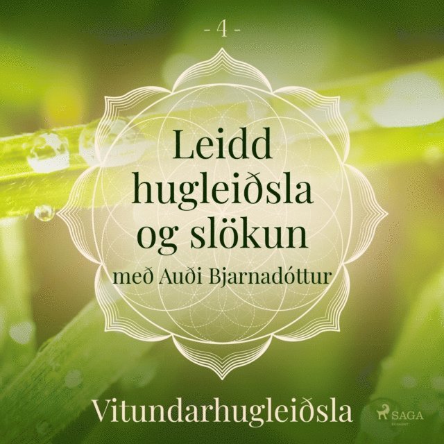 Arnsberg - Leidd hugleiðsla og slökun - Vitundarhugleiðsla, Ljudbok