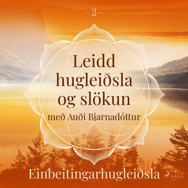 Arnsberg - Leidd hugleiðsla og slökun - Einbeitingarhugleiðsla, Ljudbok