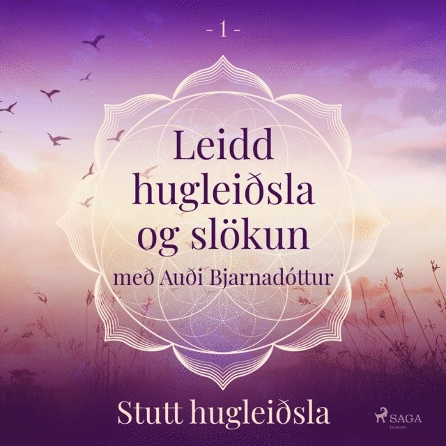 Arnsberg - Leidd hugleiðsla og slökun - Stutt hugleiðsla, Ljudbok