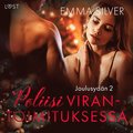Joulusydn 2: Poliisi virantoimituksessa