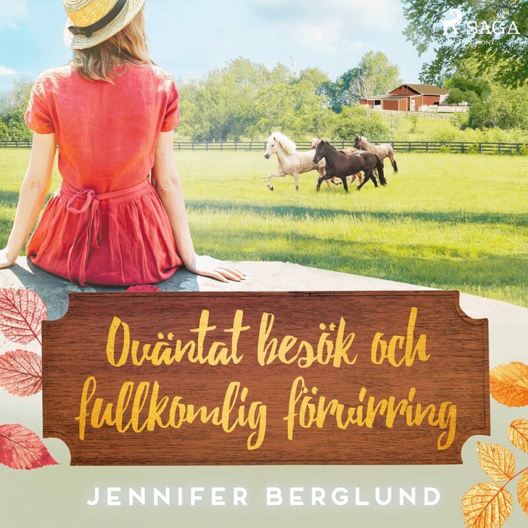 Jennifer Berglund - Oväntat besök och fullkomlig förvirring, Ljudbok