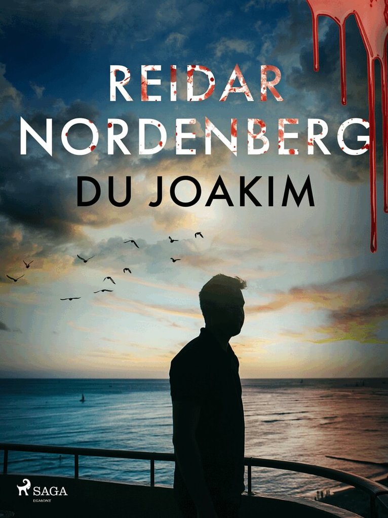Reidar Nordenberg - Du Joakim, E-bok