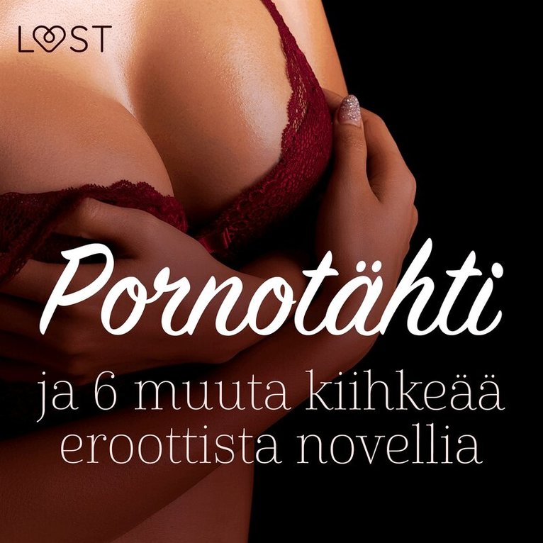 Camille Bech, Malin Edholm, B. J. Hermansson, Terne Terkildsen, Fabien Dumaître - Pornotähti ja 6 muuta kiihkeää eroottista novellia, Ljudbok