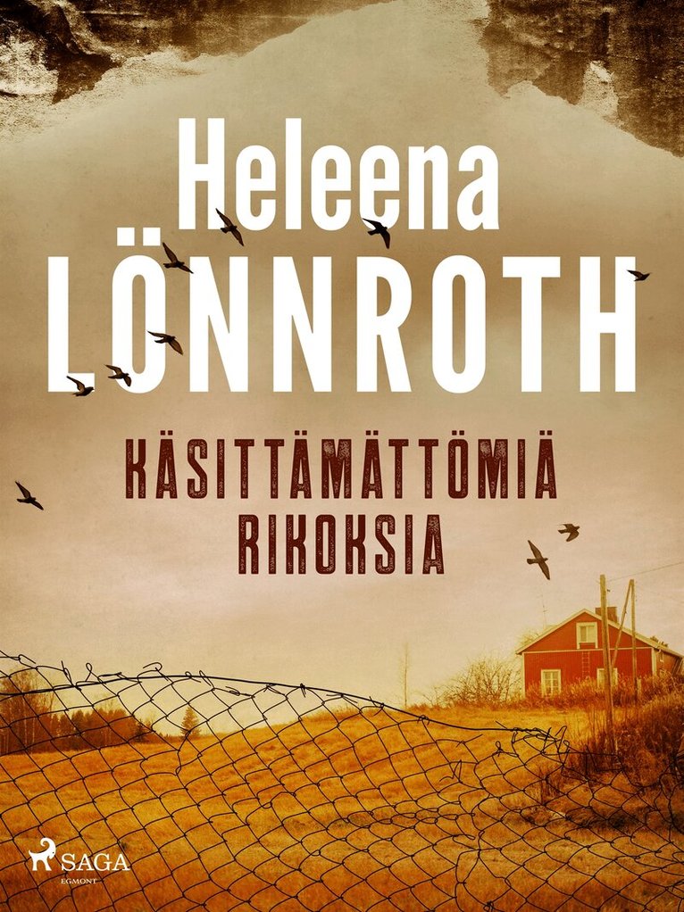 Heleena Lönnroth - Käsittämättömiä rikoksia, E-bok