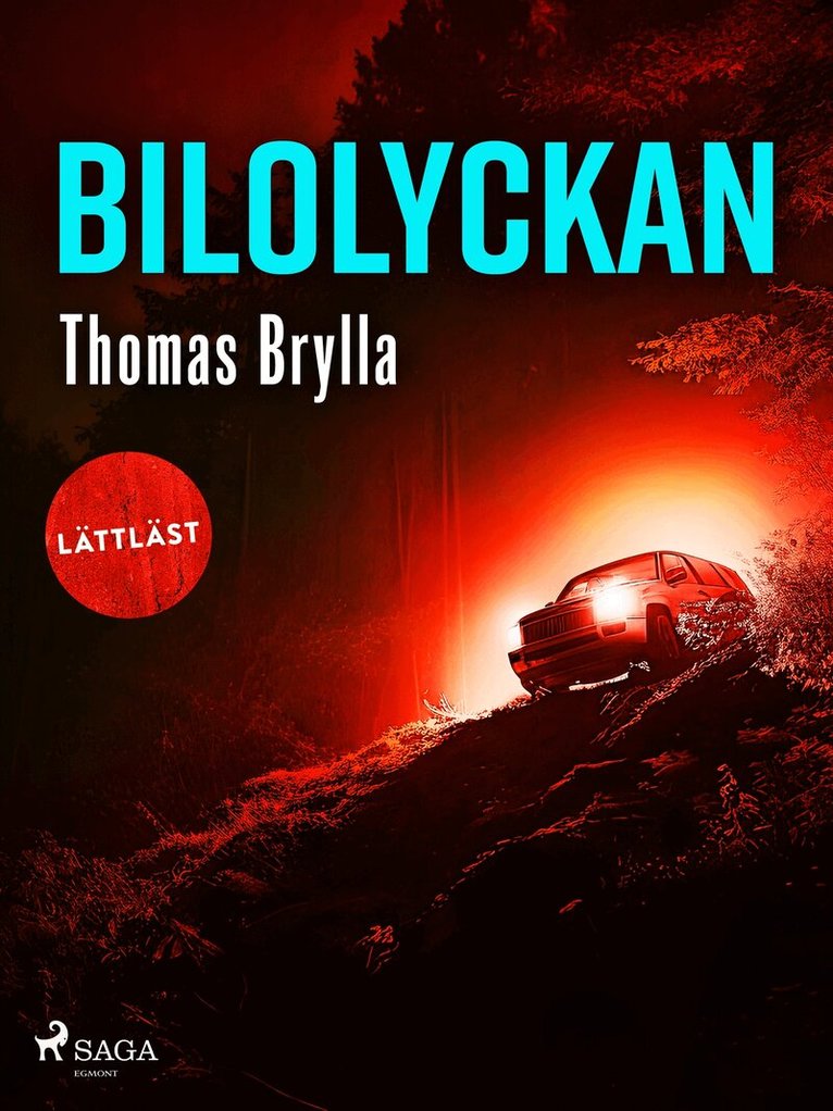 Thomas Brylla - Bilolyckan, E-bok