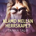 Klmd mellan herrskapet - erotisk novell