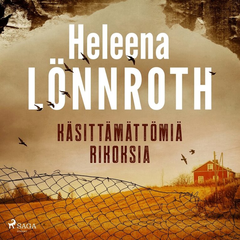 Heleena Lönnroth - Käsittämättömiä rikoksia, Ljudbok