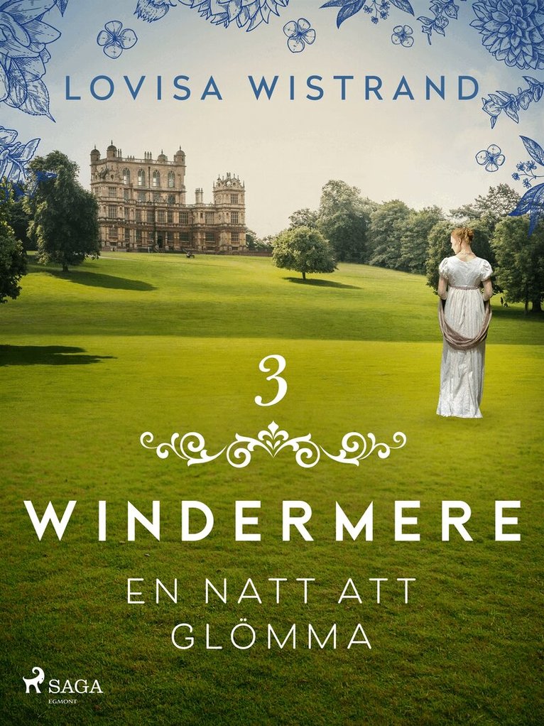 Lovisa Wistrand - En natt att glömma, E-bok