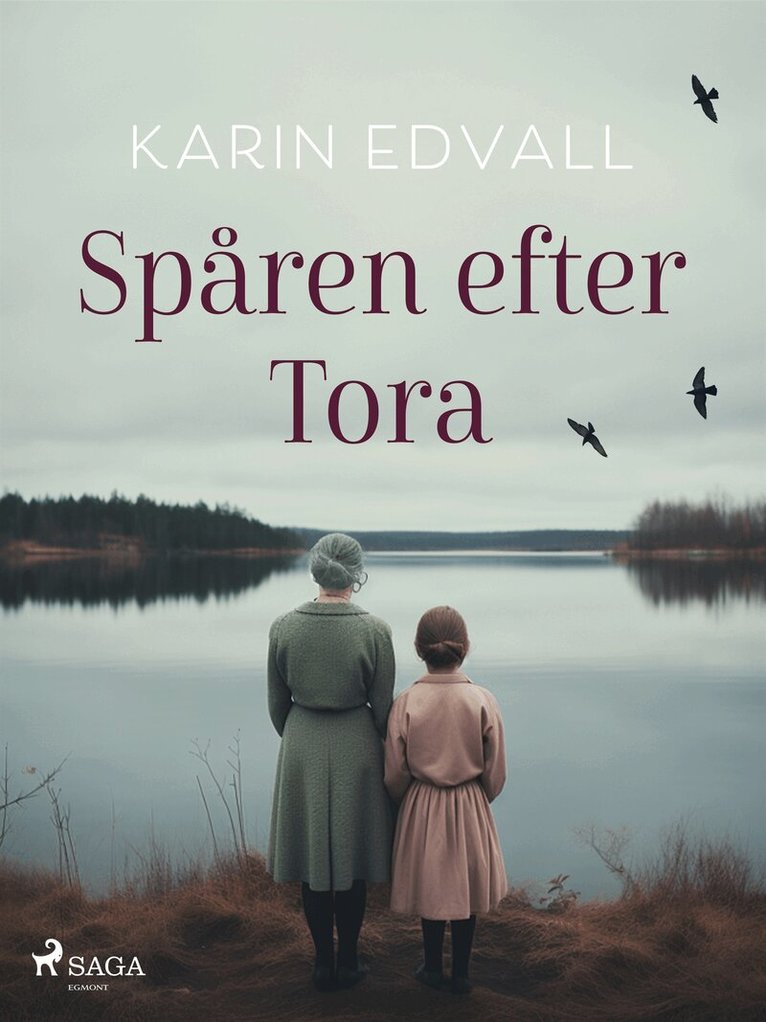 Karin Edvall - Spåren efter Tora, E-bok