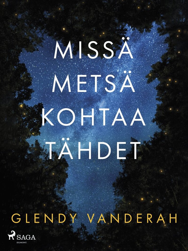 Glendy Vanderah - Missä metsä kohtaa tähdet, E-bok