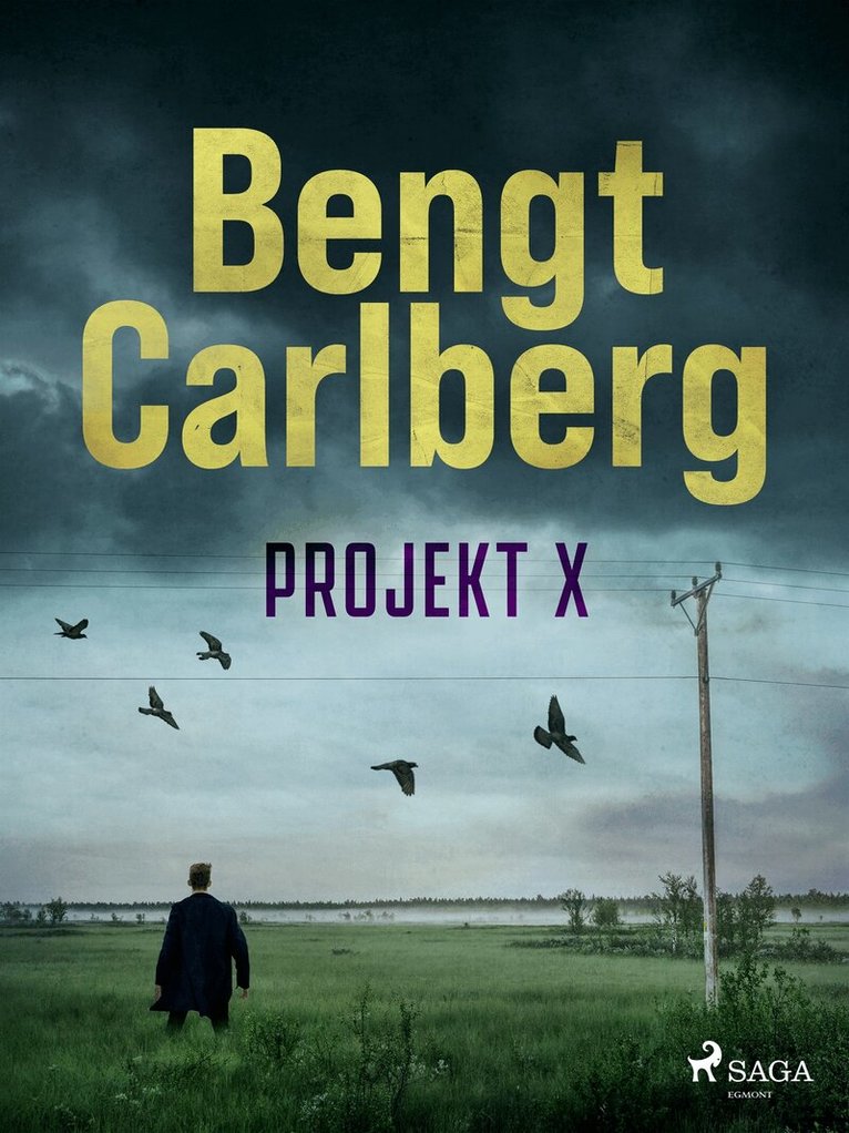 Bengt Carlberg - Projekt X, E-bok