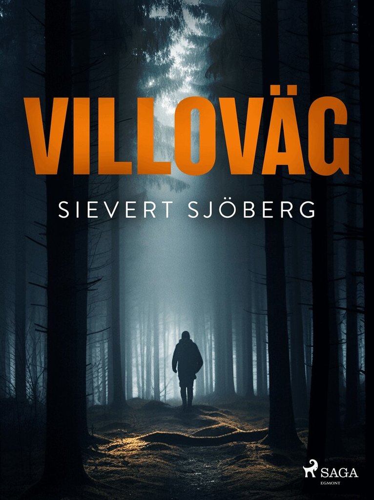 Sievert Sjöberg - Villoväg, E-bok