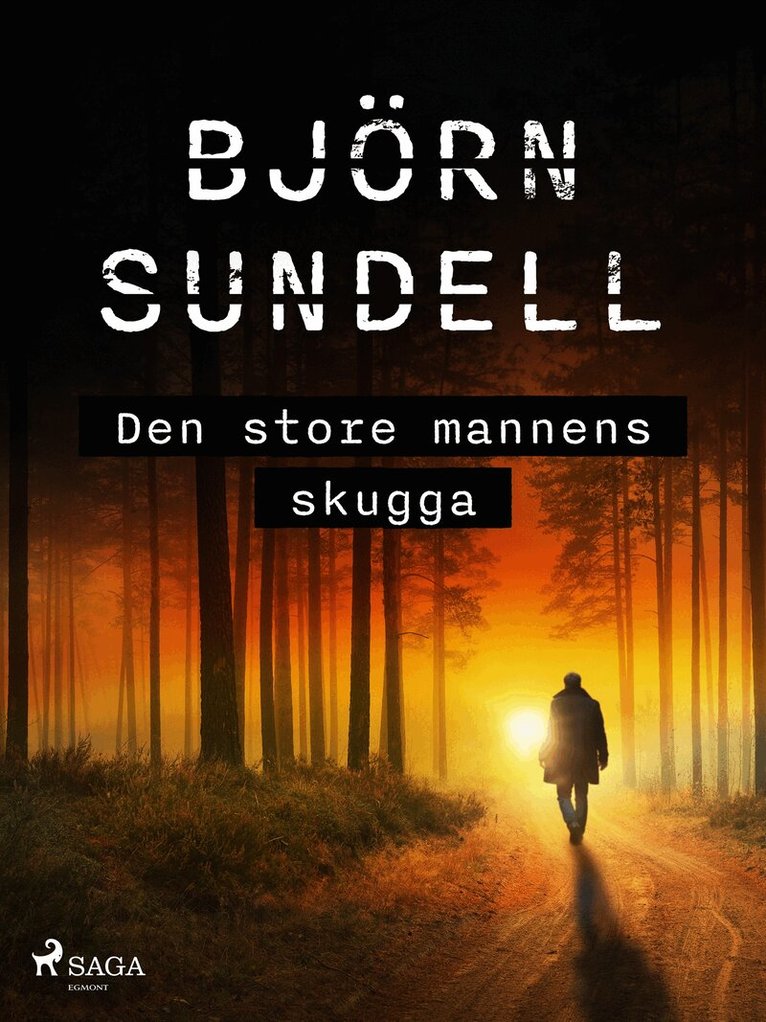 Björn Sundell - Den store mannens skugga, E-bok