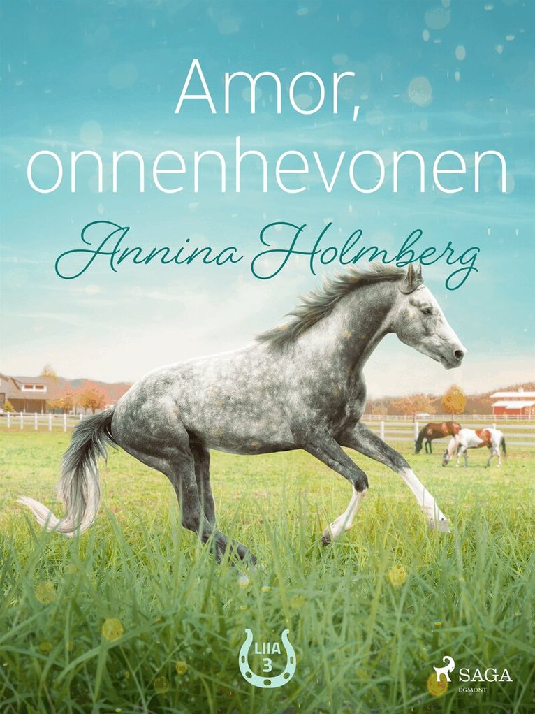 Annina Holmberg - Amor, onnenhevonen, E-bok